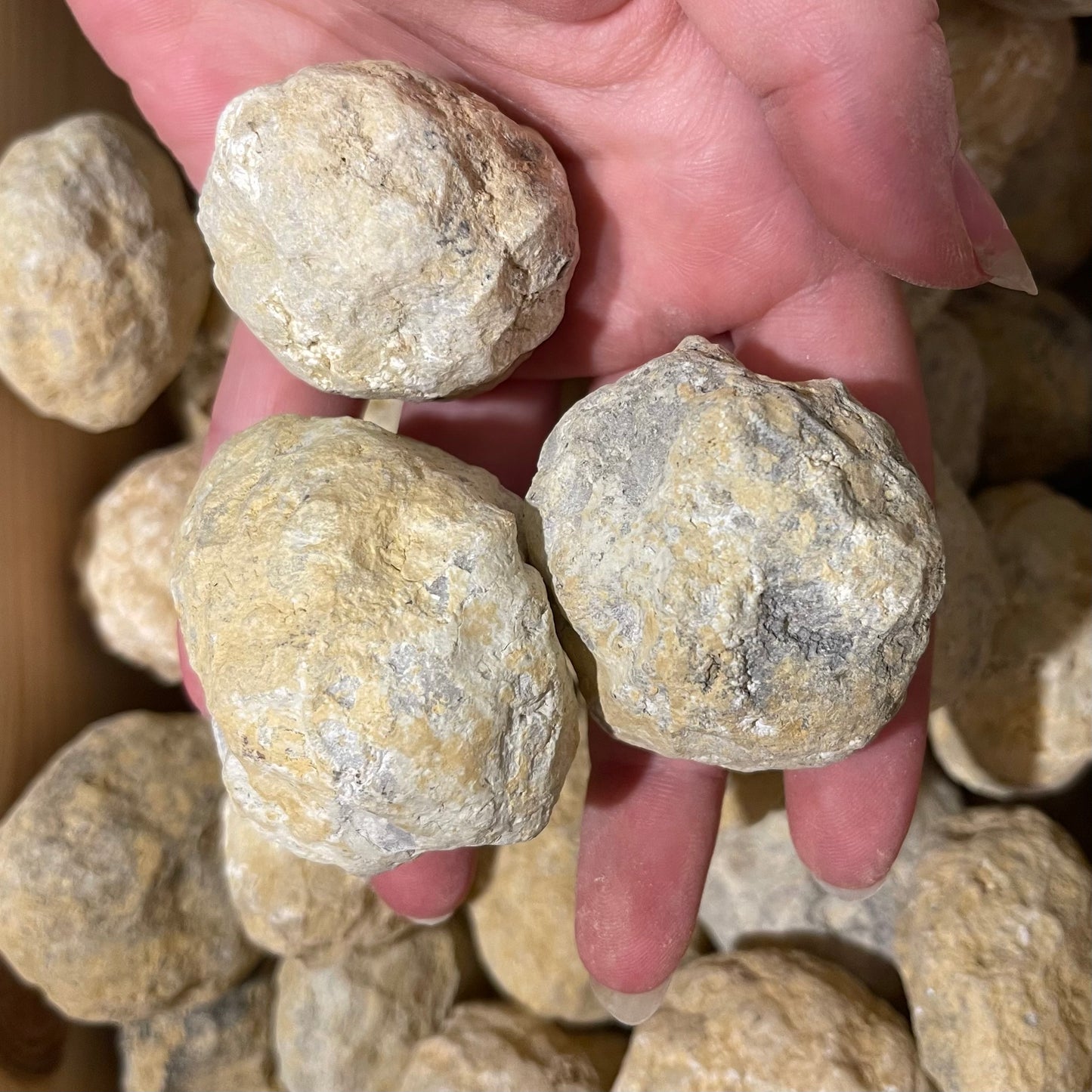 Bryd Din Egen Geode – Oplev Magien af Ægte Krystaller!