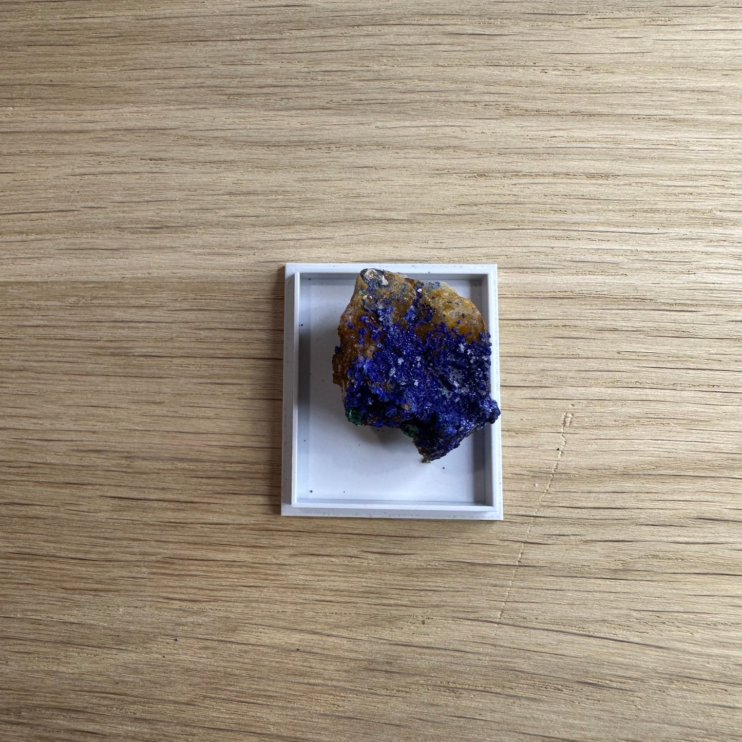 Rå Azurit i Displaykasse