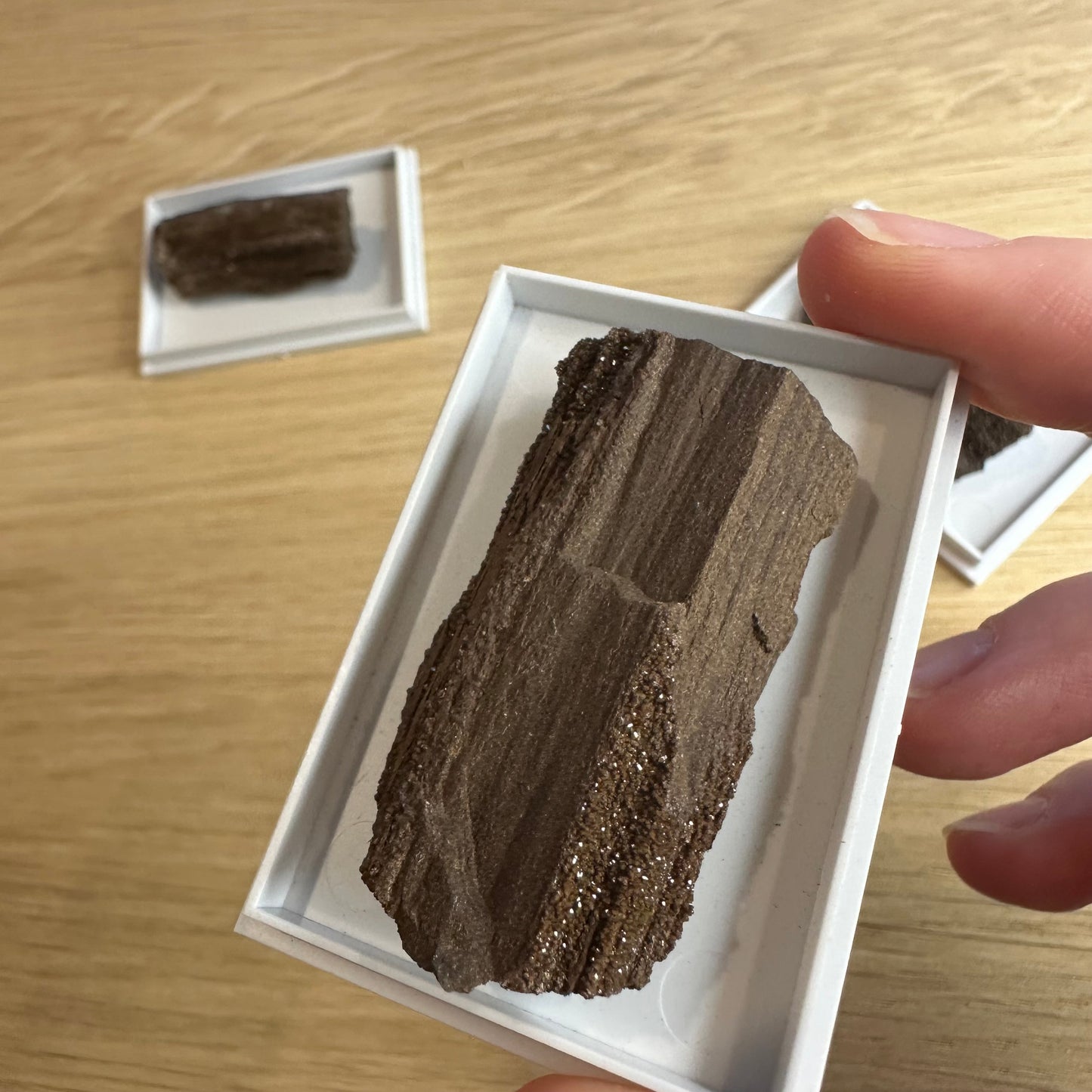 Fossilt Træ med Kvarts Druzy