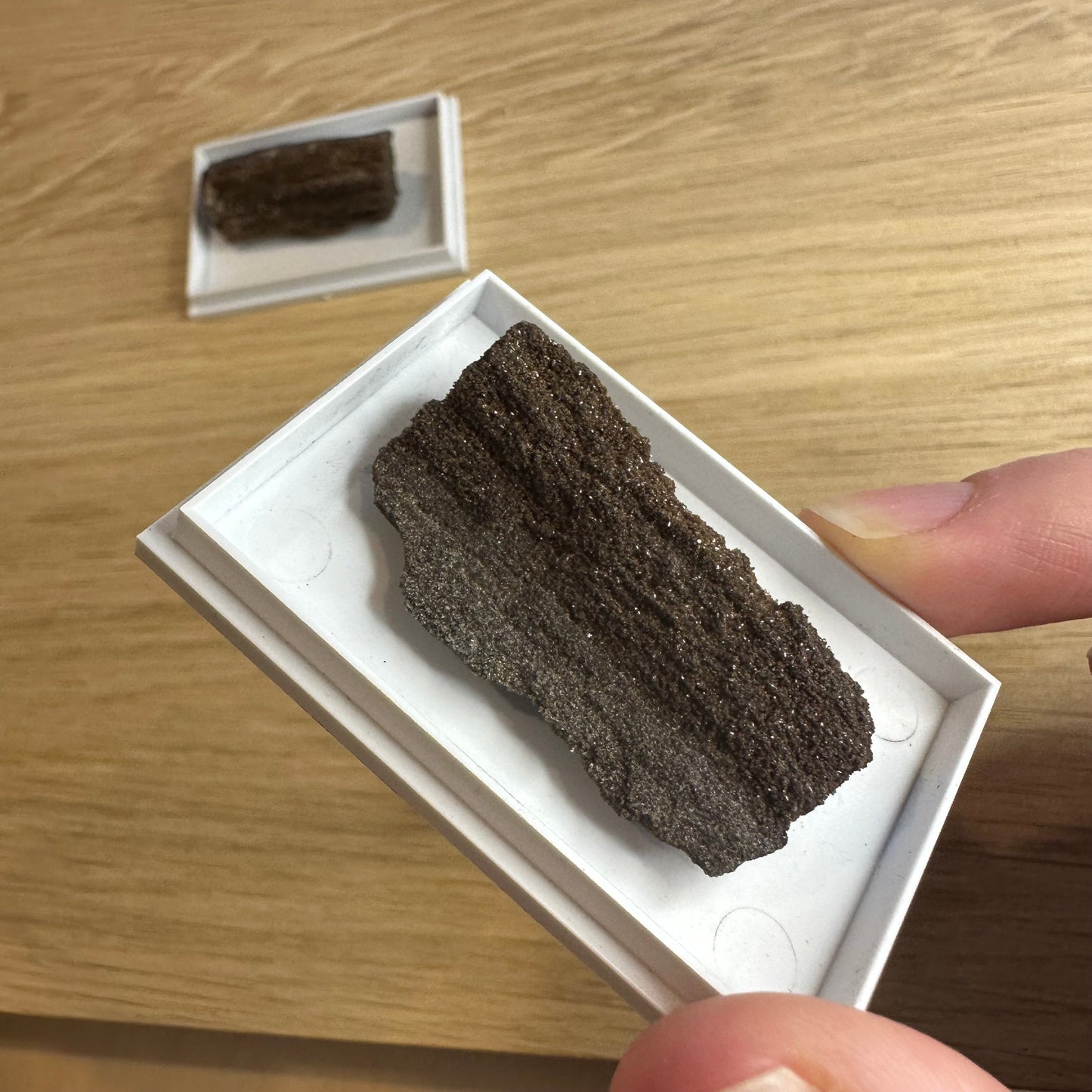 Fossilt Træ med Kvarts Druzy